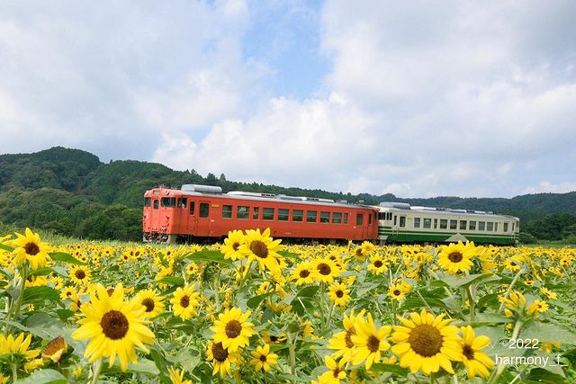 小湊鉄道とその沿線の景観